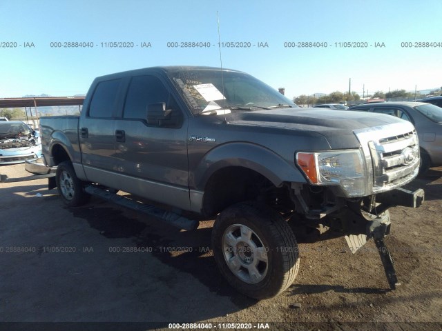 FORD F-150 2010 1ftew1c84afa60387