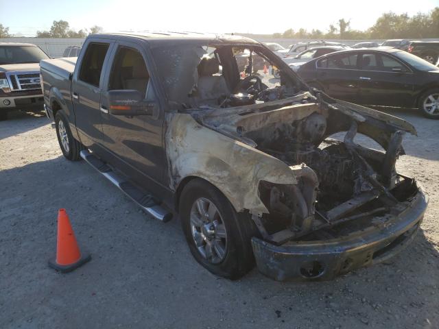 FORD F150 SUPER 2010 1ftew1c84afa64410