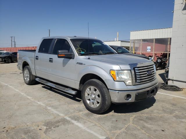 FORD F150 SUPER 2010 1ftew1c84afa69915