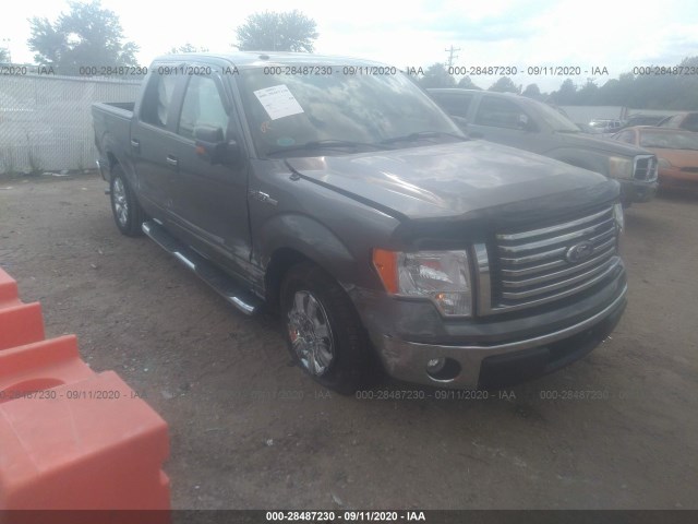 FORD F-150 2010 1ftew1c84afb16389