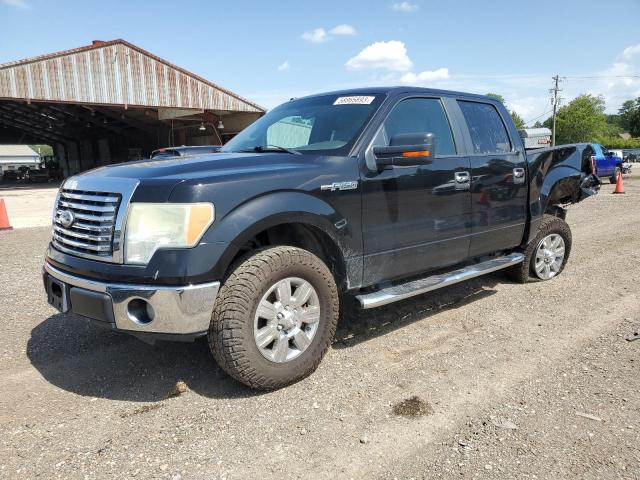 FORD F150 SUPER 2010 1ftew1c84afb28056