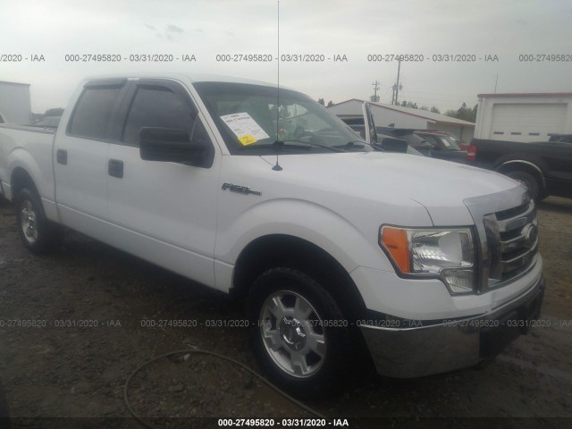 FORD F-150 2010 1ftew1c84afb37632