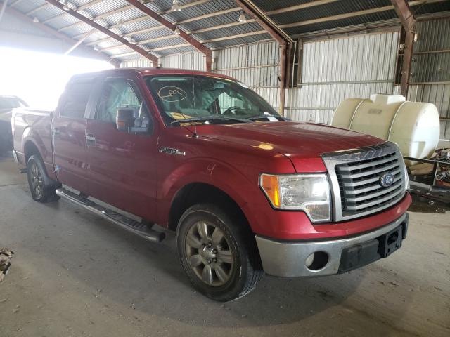 FORD F150 SUPER 2010 1ftew1c84afb49294