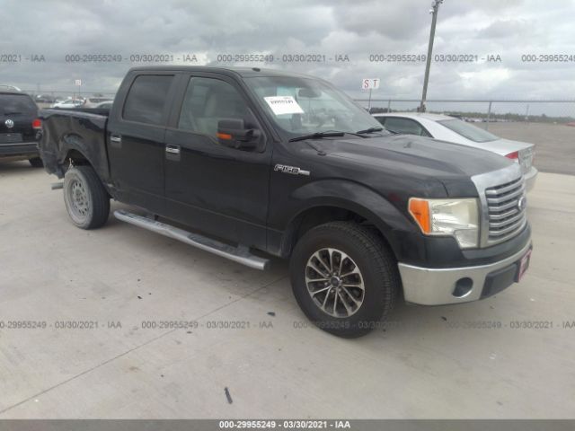 FORD F-150 2010 1ftew1c84afb65978