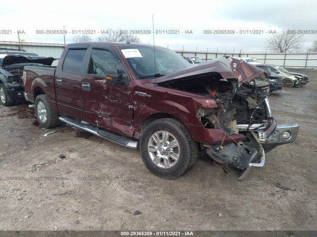 FORD F-150 2010 1ftew1c84afc49055