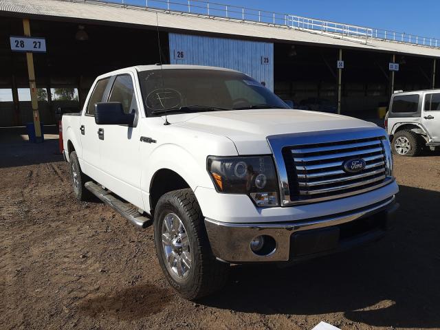 FORD F150 SUPER 2010 1ftew1c84afc66079