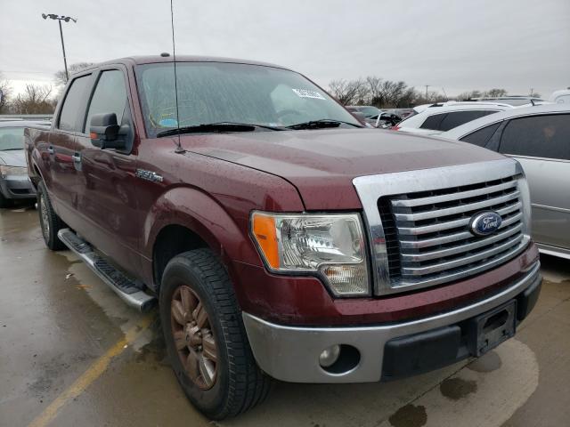 FORD F150 SUPER 2010 1ftew1c84afc78023