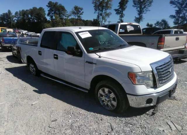 FORD F-150 2010 1ftew1c84afc81309