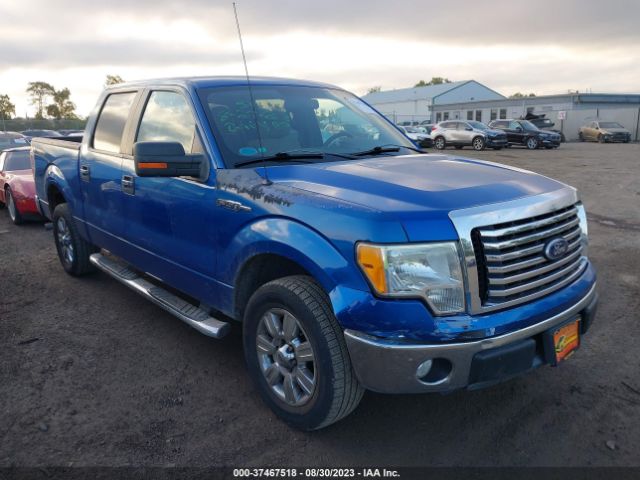 FORD F-150 2010 1ftew1c84afd07911