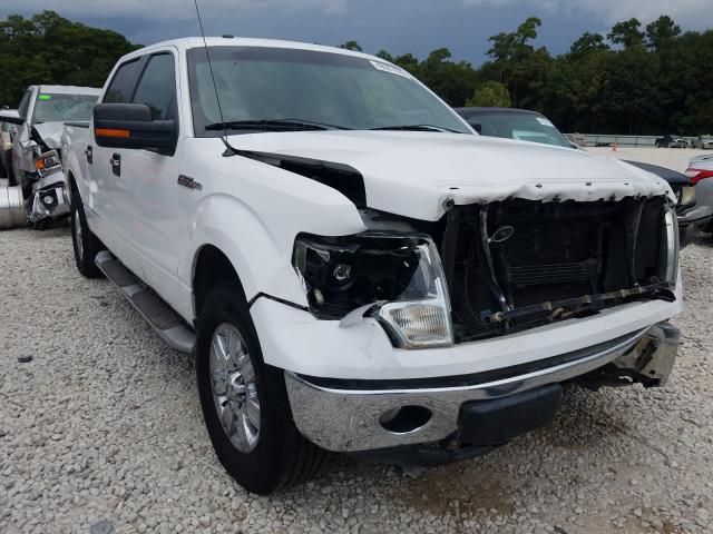 FORD F150 SUPER 2010 1ftew1c84afd18049