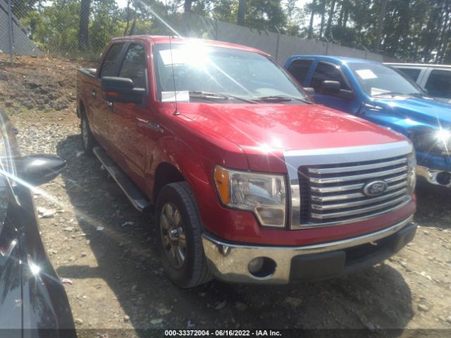 FORD F-150 2010 1ftew1c84ake41325