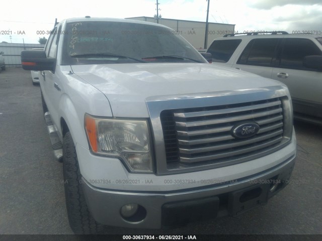 FORD F-150 2010 1ftew1c85afa36096