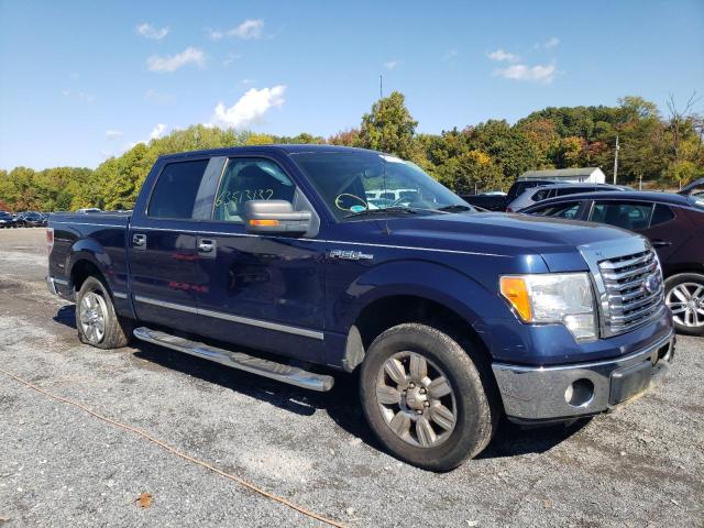 FORD F150 SUPER 2010 1ftew1c85afa52587