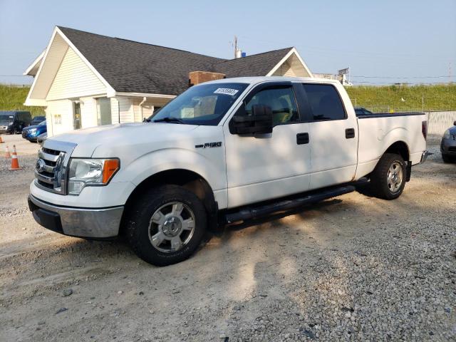 FORD F-150 2010 1ftew1c85afa56199