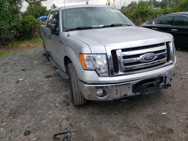 FORD F150 SUPER 2010 1ftew1c85afa60012