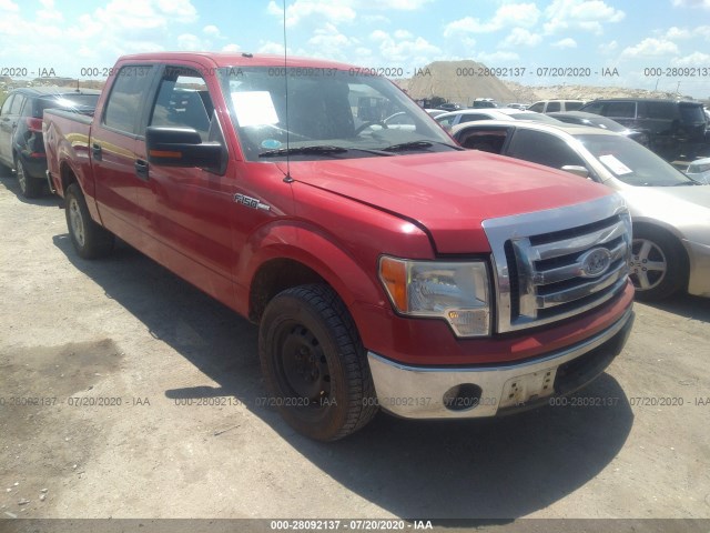 FORD F-150 2010 1ftew1c85afa75531