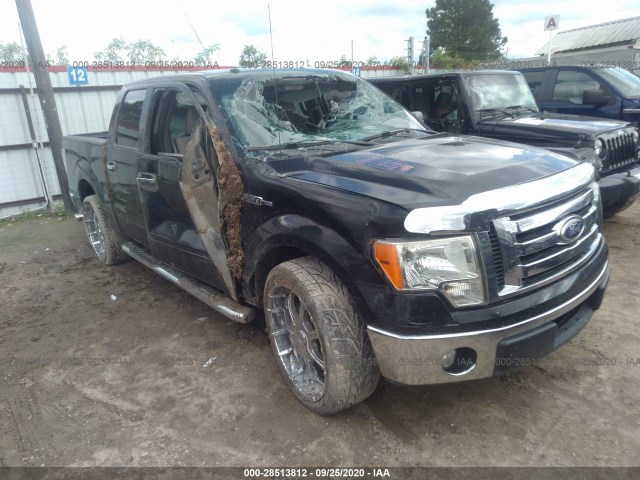 FORD F-150 2010 1ftew1c85afb14411