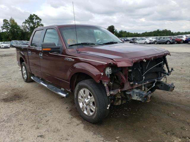 FORD F150 SUPER 2010 1ftew1c85afb35923