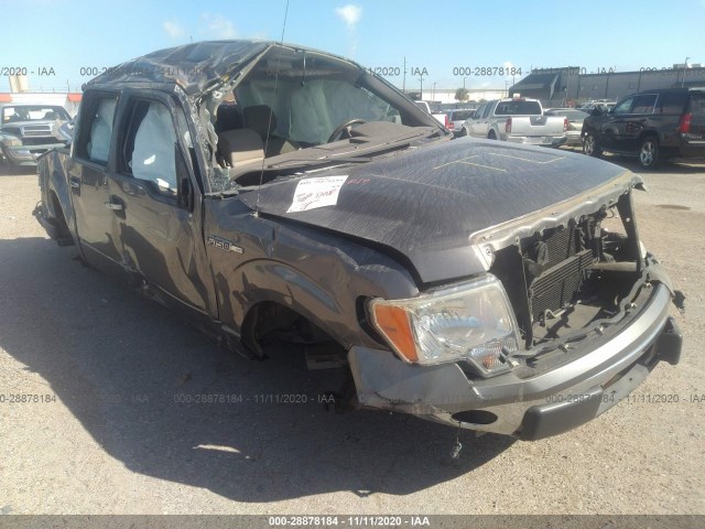 FORD F-150 2010 1ftew1c85afc29445