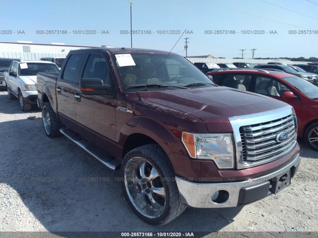 FORD F-150 2010 1ftew1c85afc61828