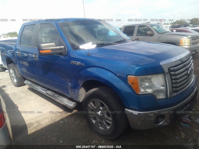 FORD F-150 2010 1ftew1c85afd24863