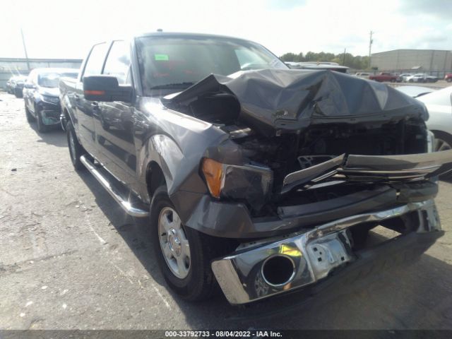 FORD F-150 2010 1ftew1c85afd65705