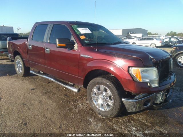 FORD F-150 2010 1ftew1c85aka67176