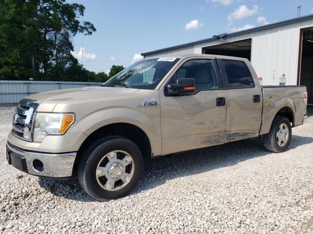 FORD F-150 2010 1ftew1c85ake64709