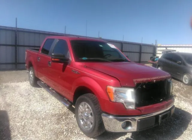 FORD F-150 2010 1ftew1c86afa04581