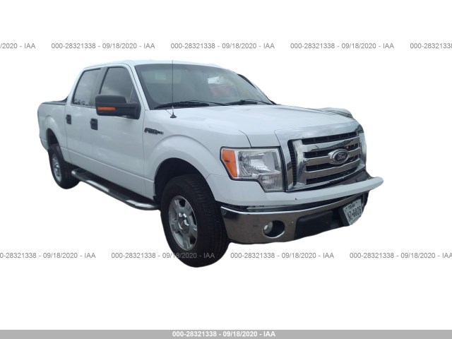 FORD F-150 2010 1ftew1c86afb03921