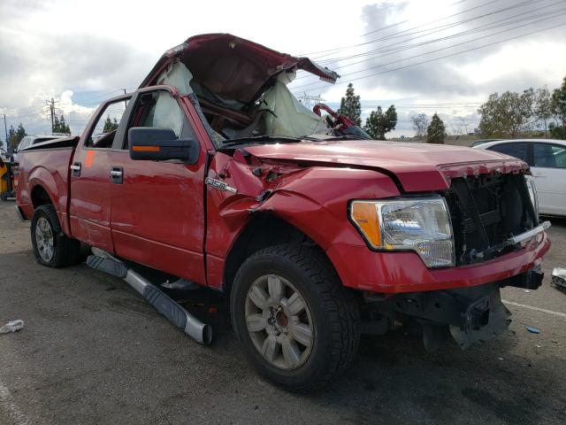 FORD F150 SUPER 2010 1ftew1c86afb09265