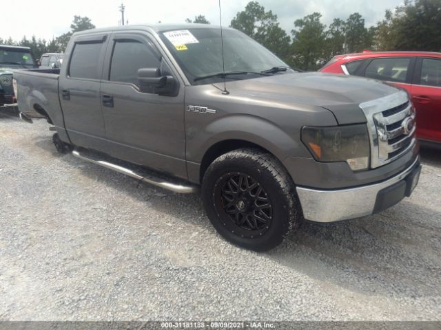 FORD F-150 2010 1ftew1c86afb27166