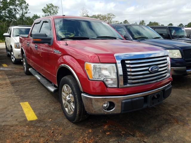 FORD F150 SUPER 2010 1ftew1c86afb28205