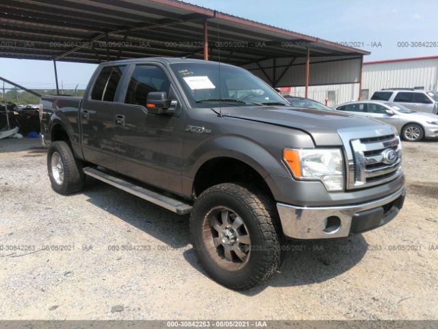 FORD F-150 2010 1ftew1c86afb37518