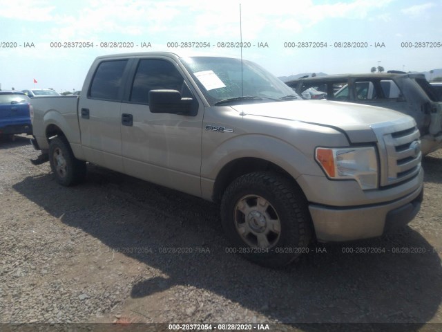 FORD F-150 2010 1ftew1c86afb90641