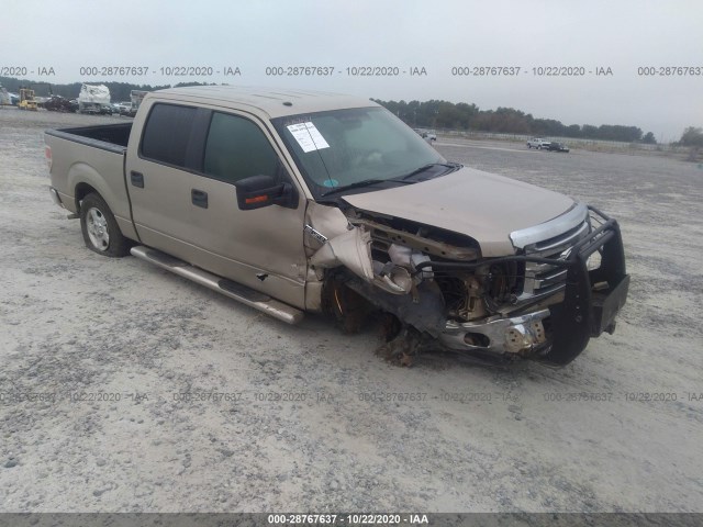 FORD F-150 2010 1ftew1c86afb94690