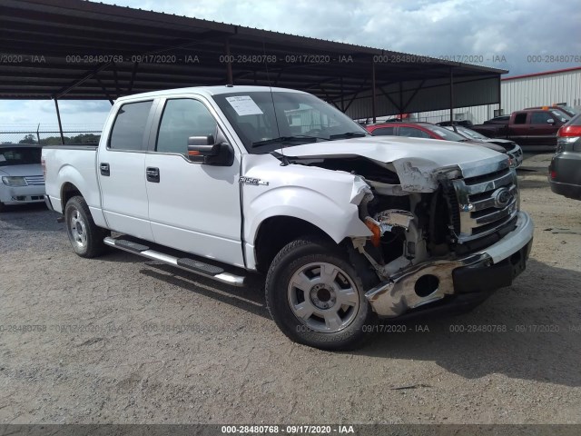 FORD F-150 2010 1ftew1c86afc44942