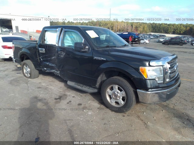 FORD F-150 2010 1ftew1c86afd12351