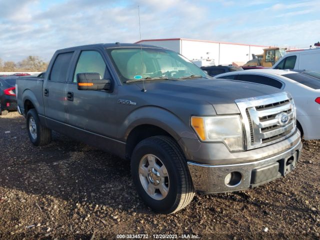 FORD F-150 2010 1ftew1c86afd18117