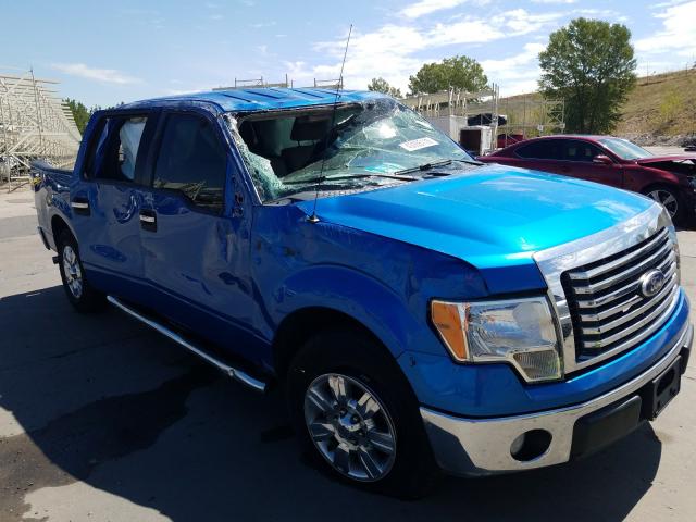 FORD F150 SUPER 2010 1ftew1c86afd32731