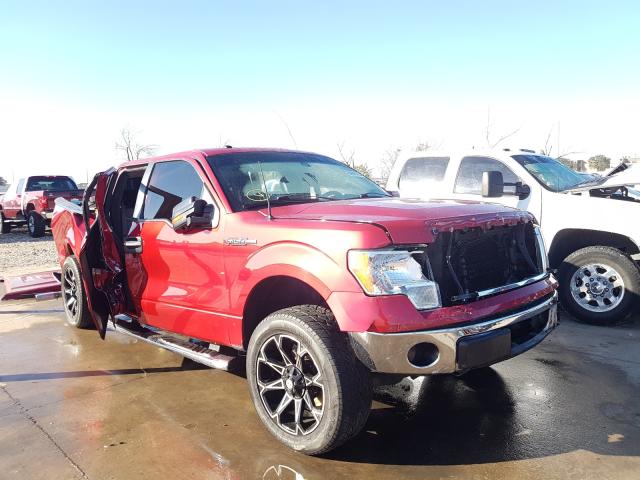 FORD F150 SUPER 2010 1ftew1c86afd42420