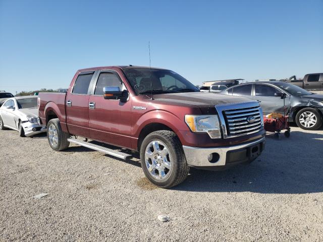 FORD F150 SUPER 2010 1ftew1c86afd43101