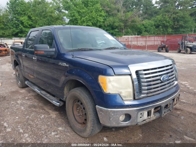 FORD F-150 2010 1ftew1c86afd87549