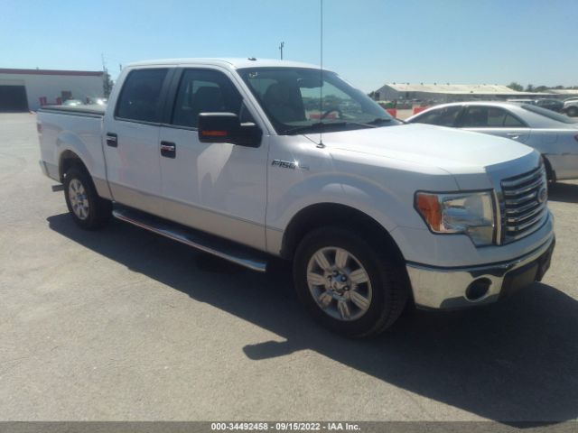 FORD F-150 2010 1ftew1c86afd87695