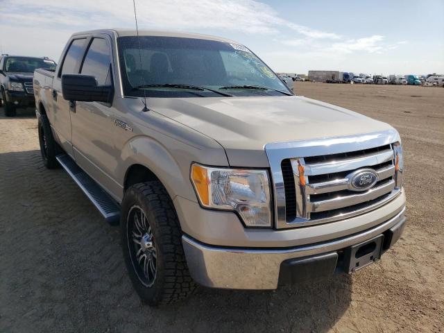 FORD F150 SUPER 2010 1ftew1c86afd91262