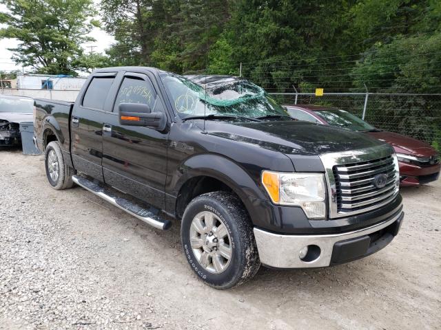 FORD F150 SUPER 2010 1ftew1c86aka74542