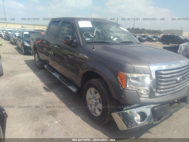 FORD F-150 2010 1ftew1c86aka76484