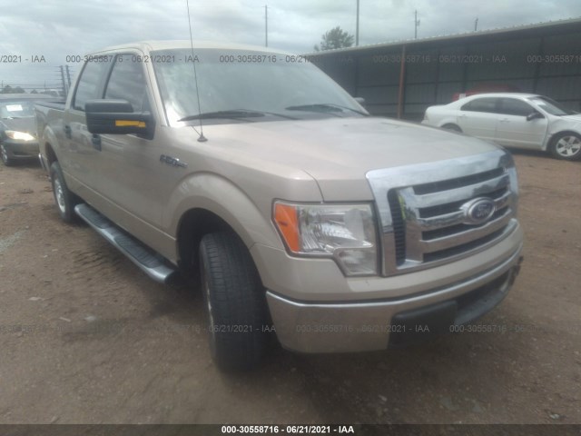 FORD F-150 2010 1ftew1c87afa60948