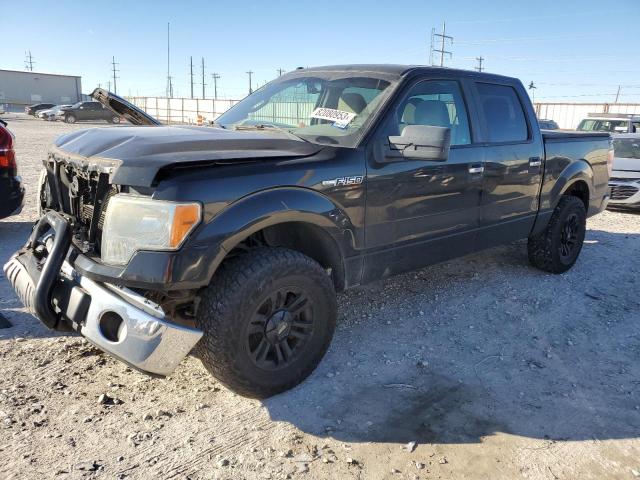 FORD F-150 2010 1ftew1c87afb39262