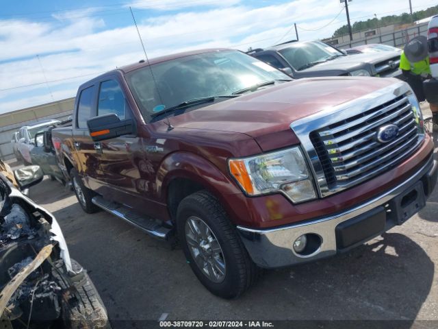 FORD F-150 2010 1ftew1c87afb97193